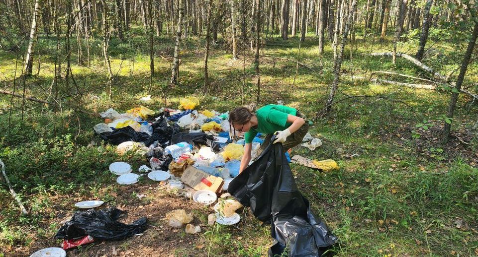 Нарушители чистоты в лесах Подмосковья заплатят более 5,3 млн рублей штрафов