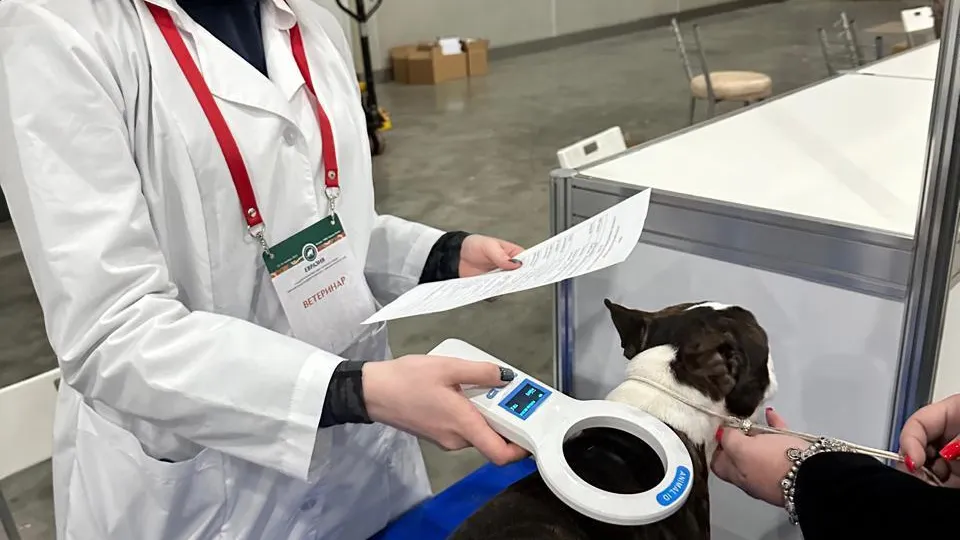 В Подмосковье прошли всемирные выставки собак всех пород