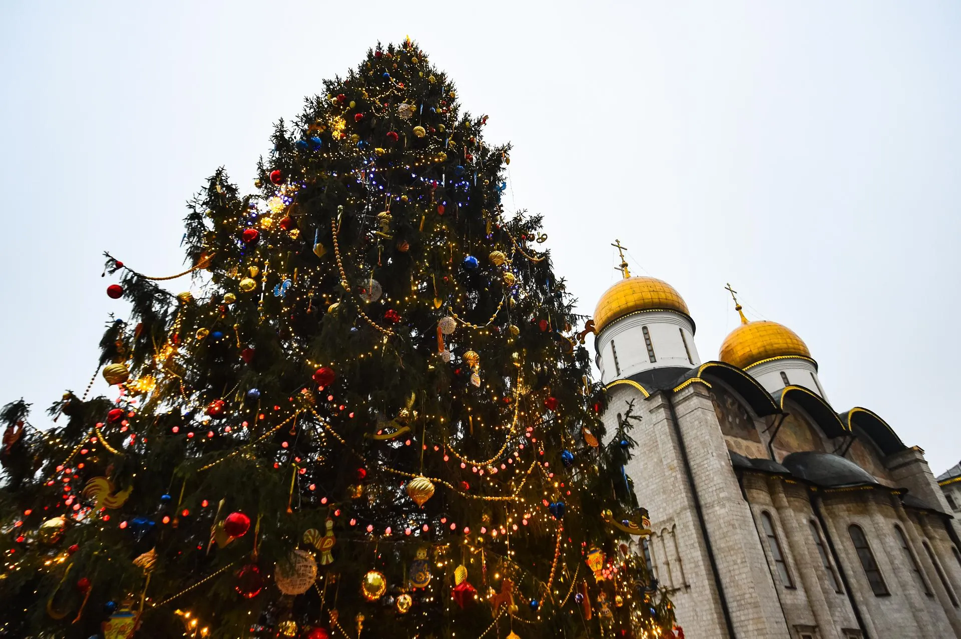 Александр Манзюк