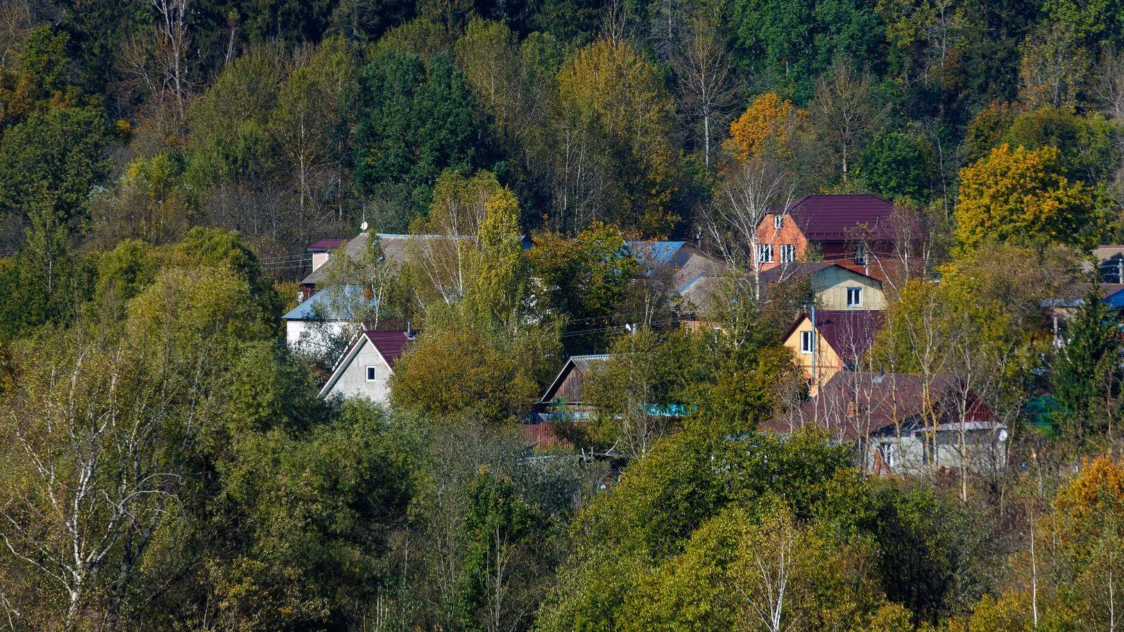 Минсельхоз Подмосковья дал советы по подготовке участка к весне