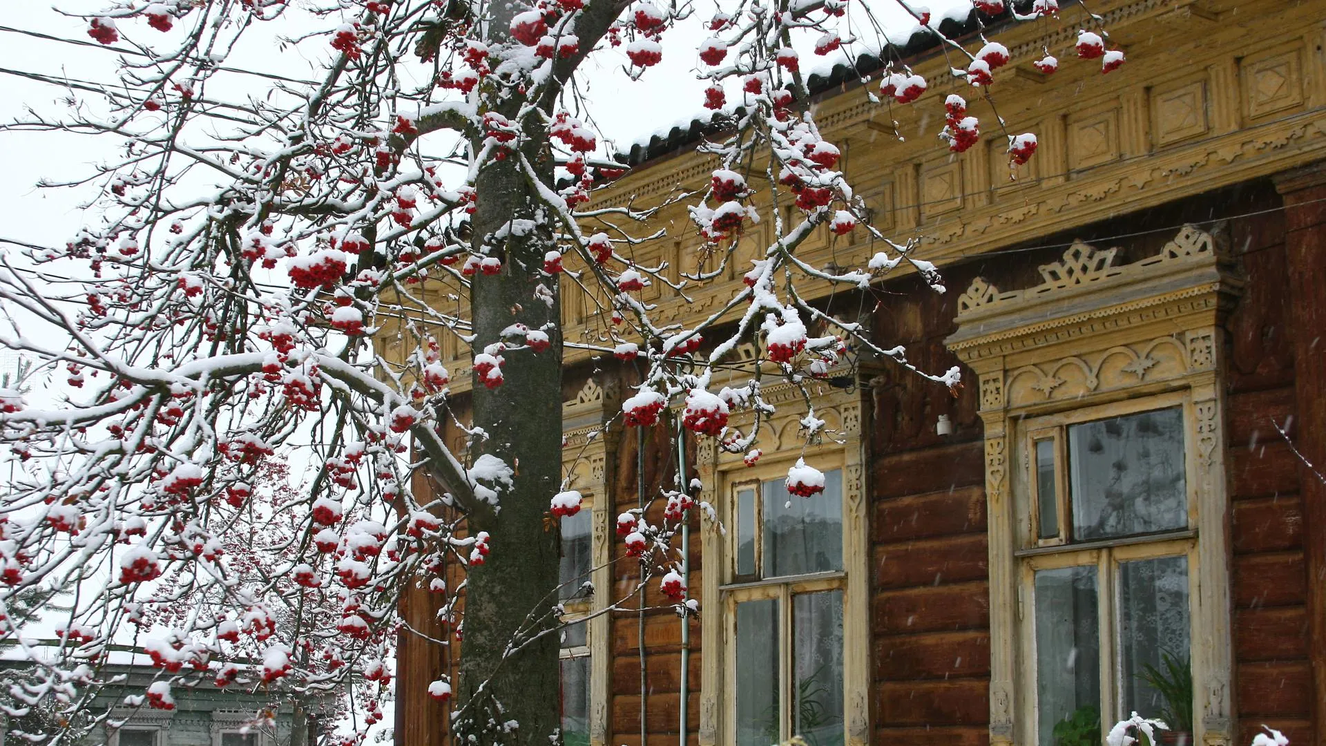 Рекордно теплый день зафиксировали в Можайске