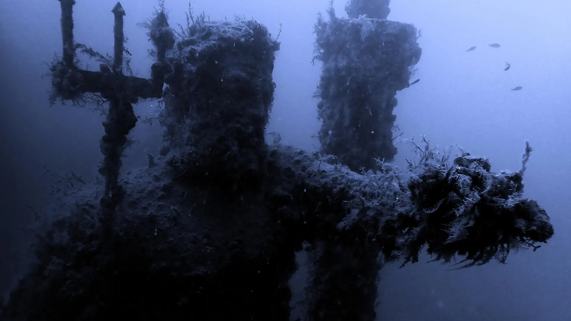 В Люберцах 29 апреля откроют выставку «За пределами стены»