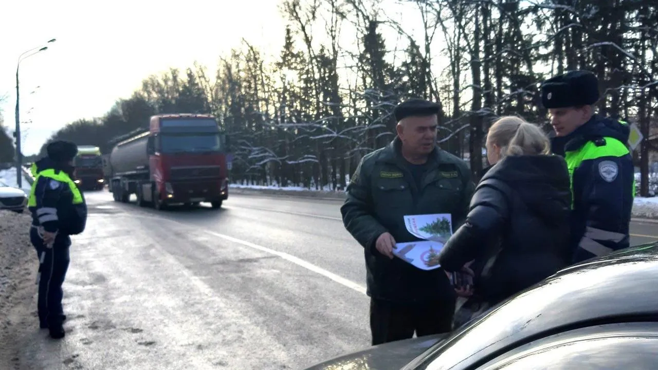 Автомобилистам Наро-Фоминска рассказали, где законно срубить елку