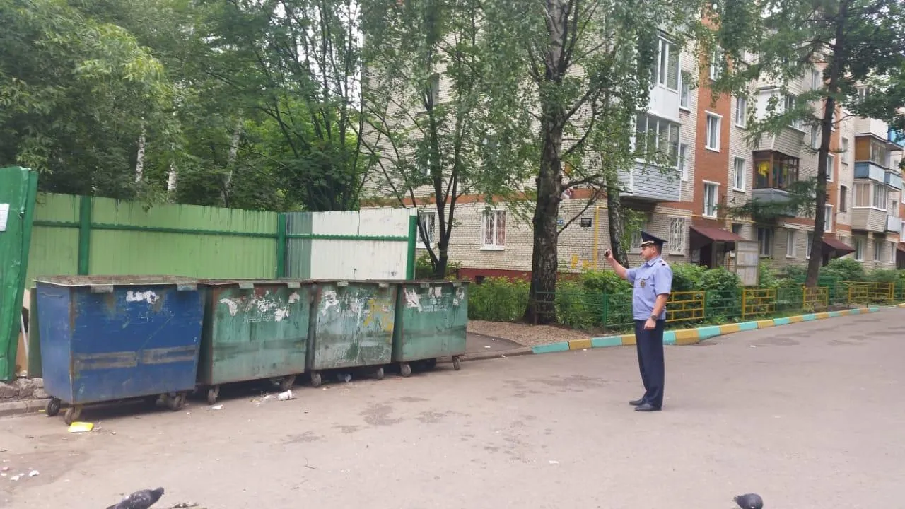 365 нарушений чистоты и порядка устранили в Подмосковье за прошедшую неделю