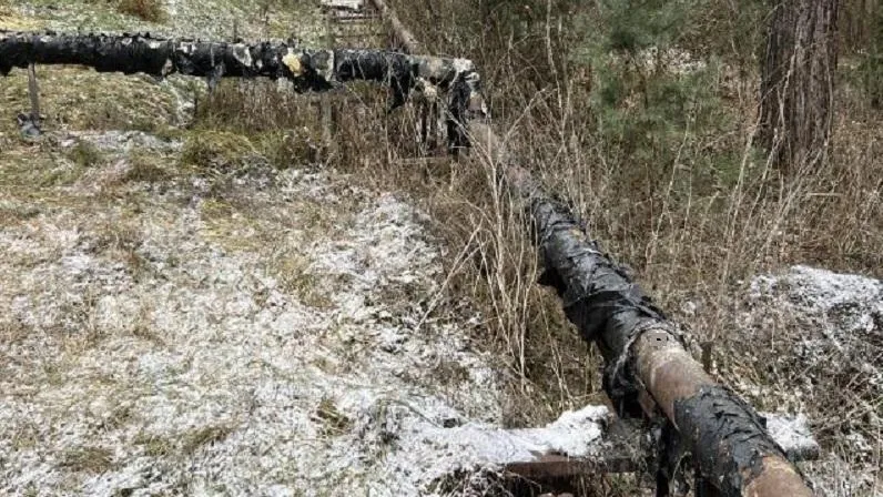 При поддержке Минэкологии в Щелкове добиваются сноса здания
