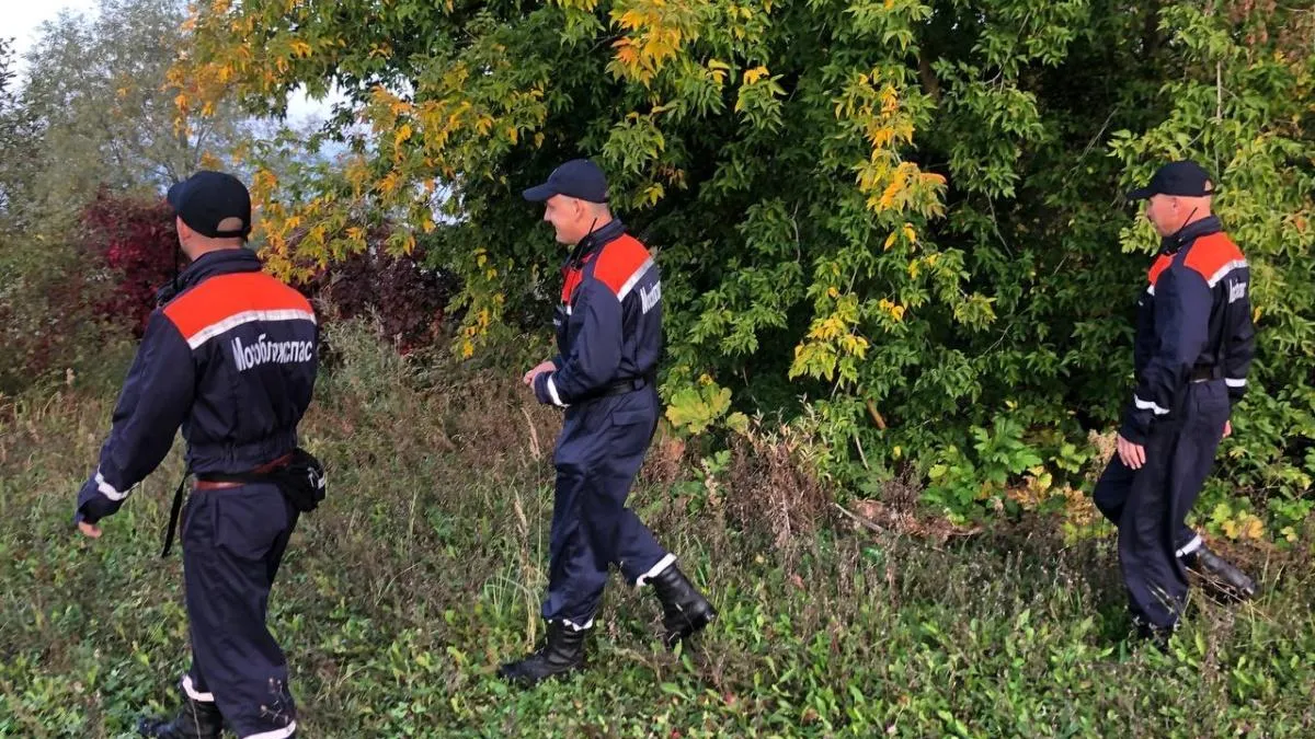 Спасатели Подмосковья напомнили грибникам, как не заблудиться в лесу