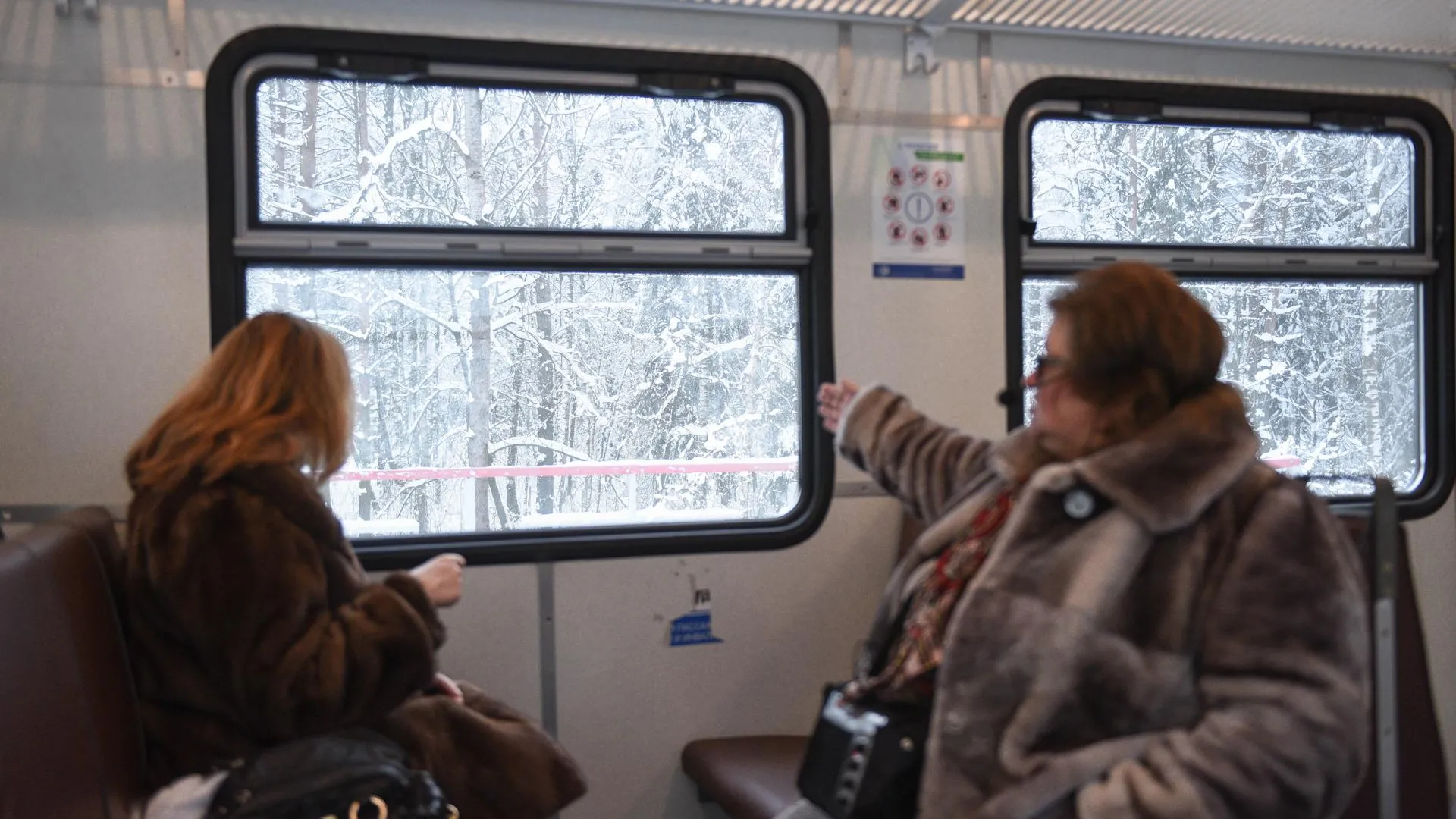 Первый отпуск за пять лет и тишина в электричках: чего ждут жители Подмосковья в 2020 году