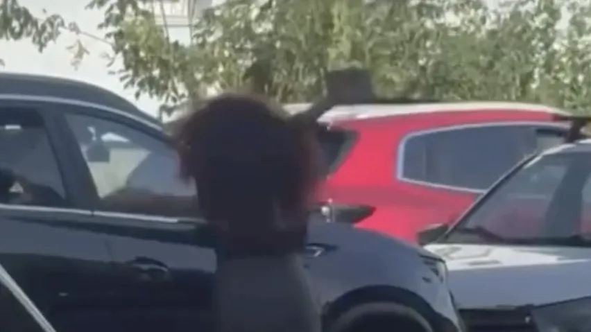 Неадекватная женщина разбила чужое авто из мести за неизвестного Антона