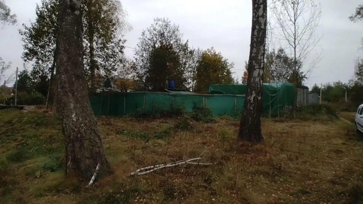 В Чехове на торги выставили областной земельный участок