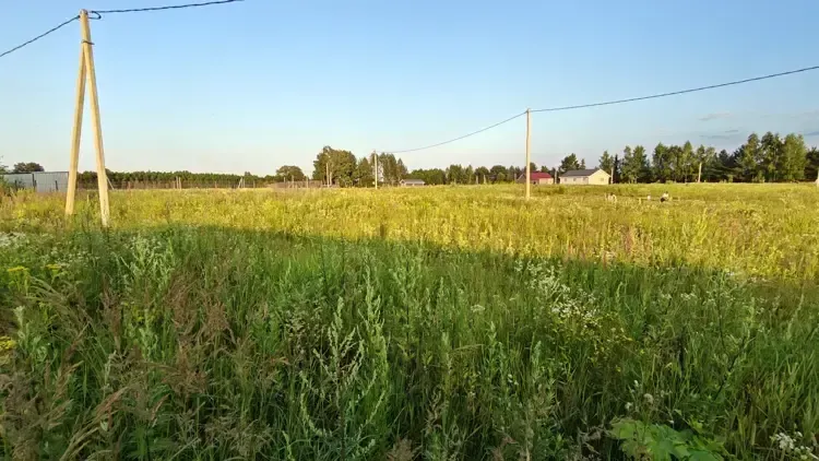 Ступино, Руза и Истра стали лидерами торгов в Подмосковье