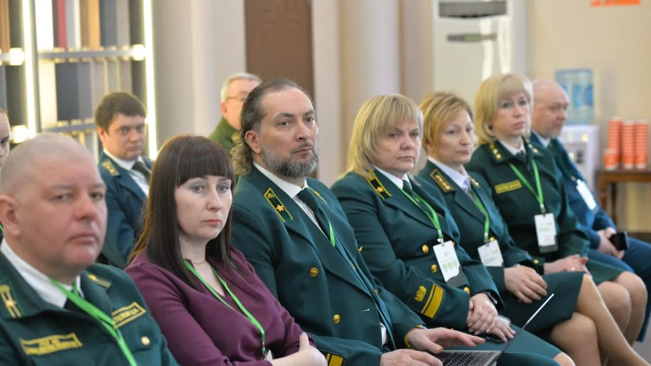 Подмосковье представило итоги реформы лесного хозяйства в ЦФО