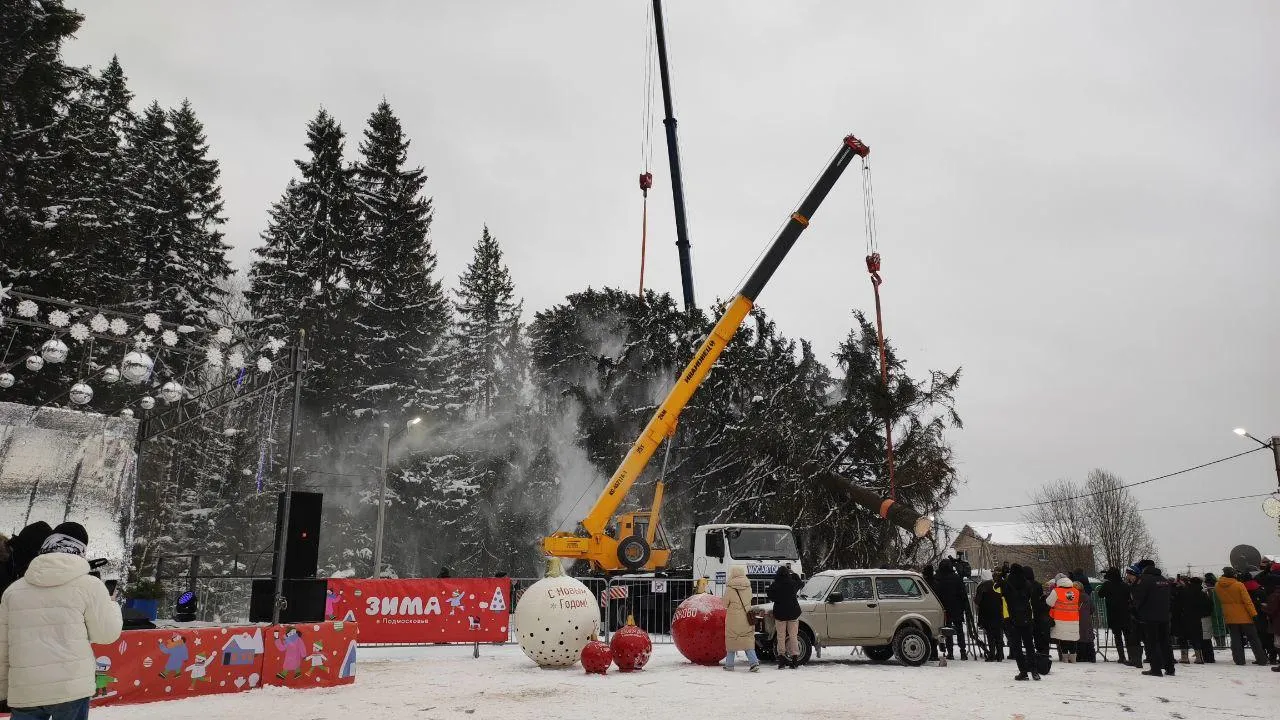 Главную новогоднюю елку России срубили в Щелкове