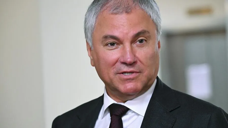 Володин: число детей мигрантов, допущенных до обучения в школах, сократилось