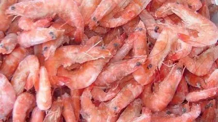 Ввоз аквакультуры из Китая ограничен в России с четверга