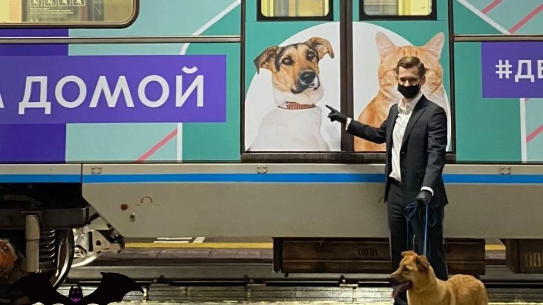 Фотографии подопечных центра бездомных животных «Юна» Подольска украсили поезд метро