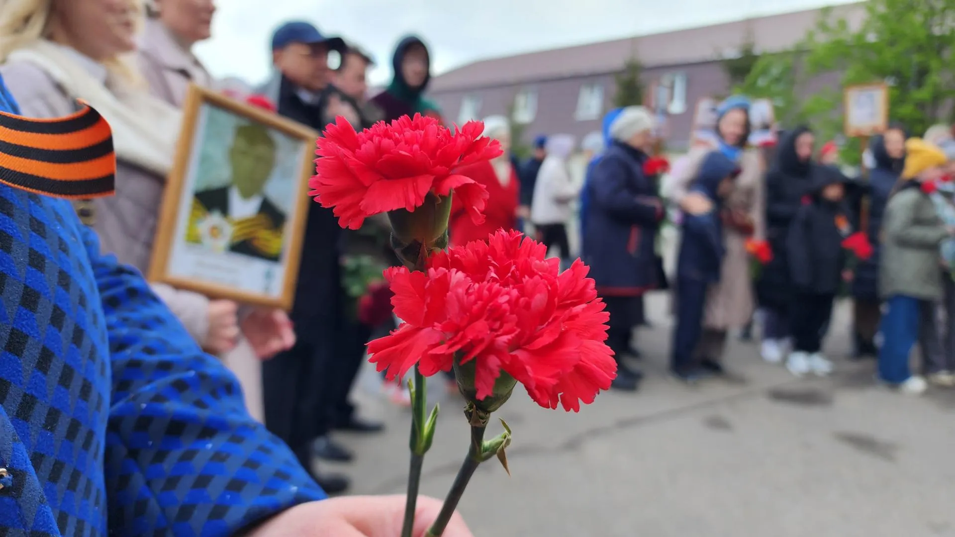 В Домодедове волонтеры Подмосковья провели акцию «Георгиевская ленточка»