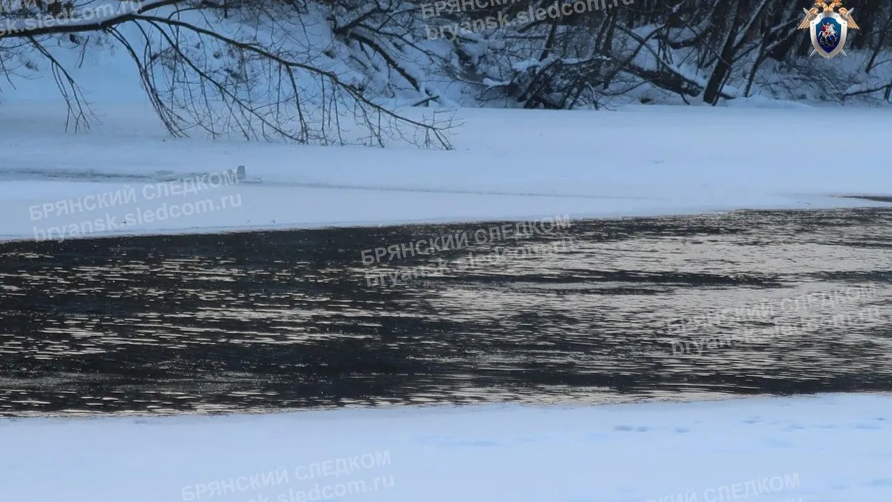 Жуткая смерть: труп ребенка нашли подо льдом в реке Десне в Брянске