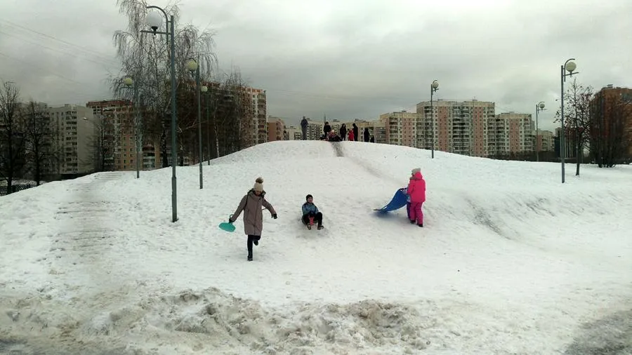 Наталья Козельская