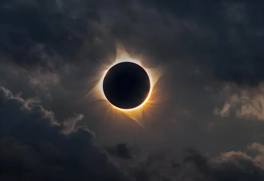 Pixel_shot / Фотобанк Лори