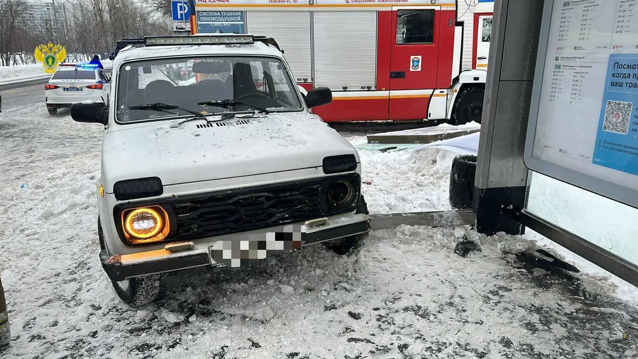 «Нива» сбила 5 человек на остановке общественного транспорта в Москве