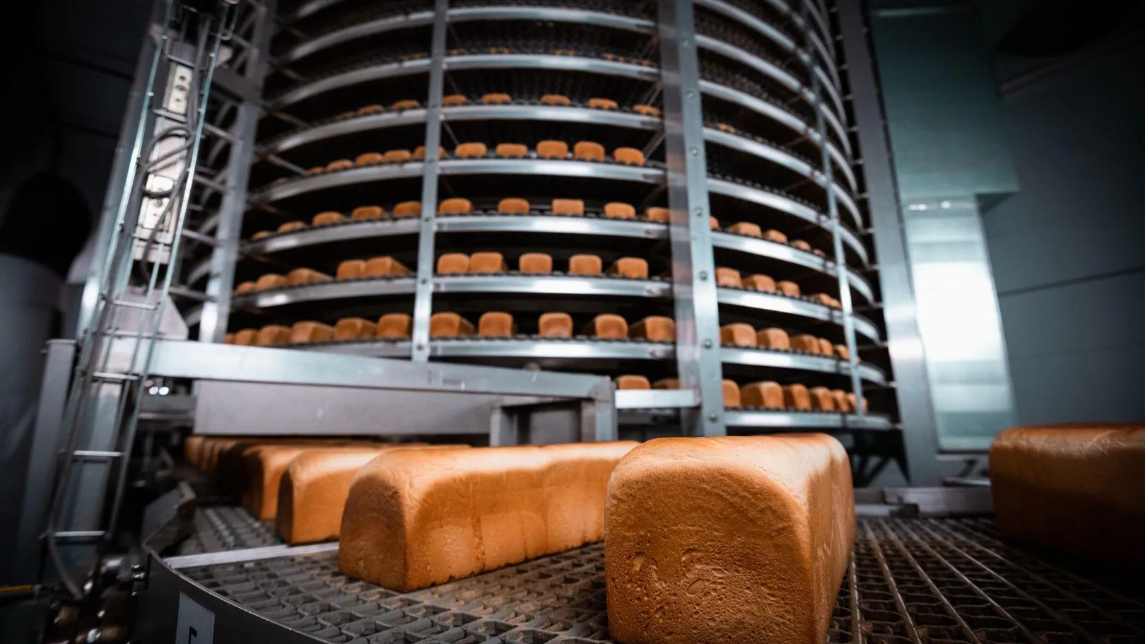 Подмосковье увеличило производство хлеба и сохранило лидерство в ЦФО