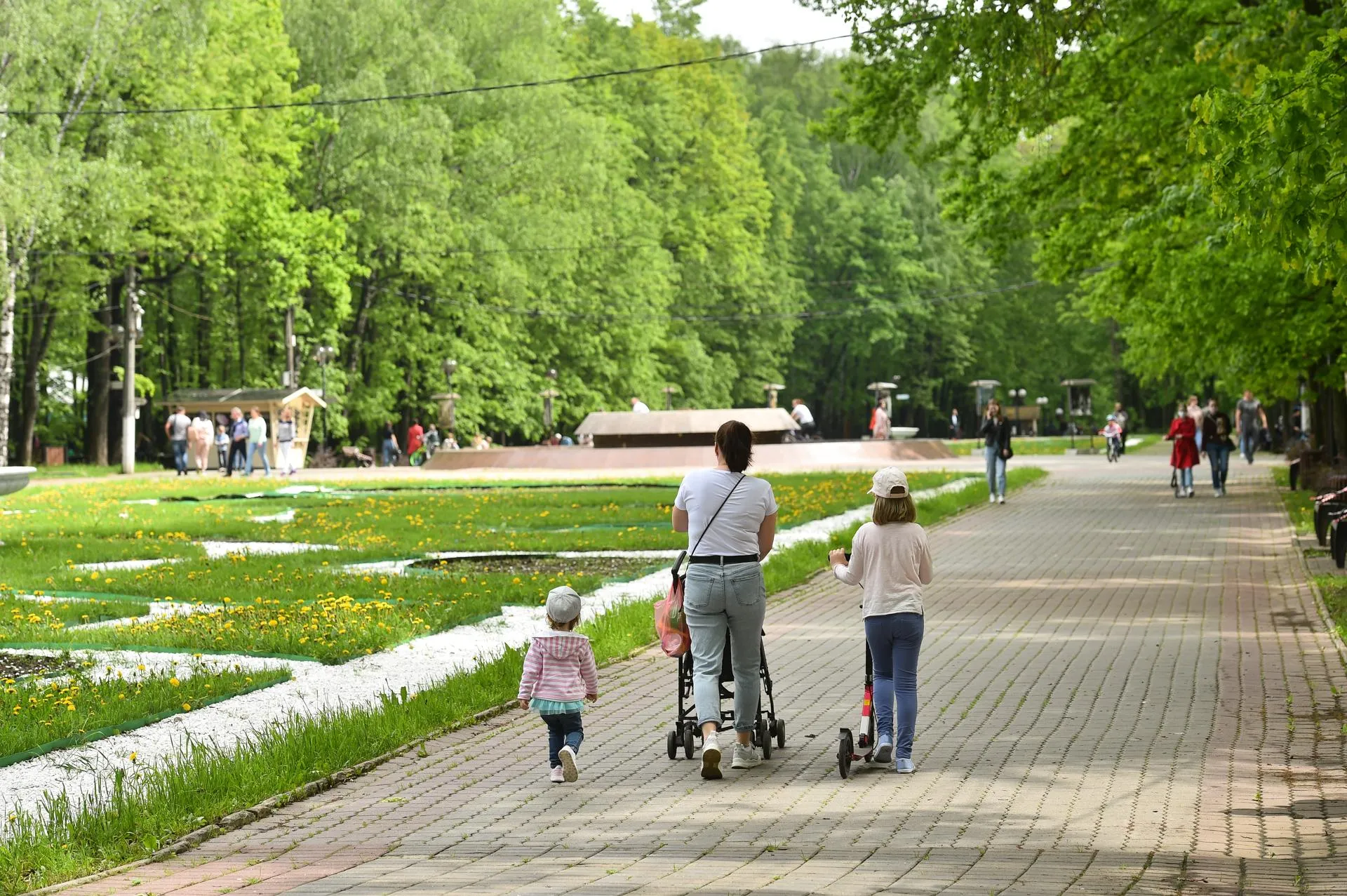Александр Манзюк