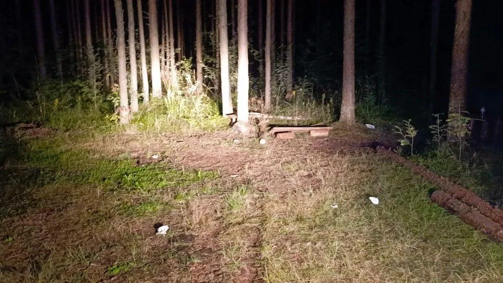 11-летний школьник погиб при взрыве мины под костром в Ленобласти