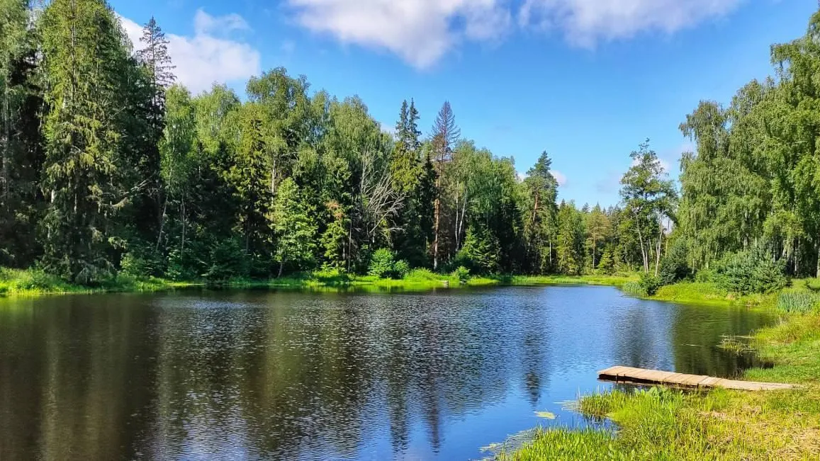 Комлесхоз Подмосковья запустил летний фотоконкурс