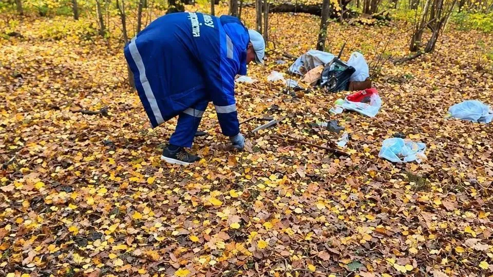 В Ленинском округе убрали мусор в лесу по просьбам жителей