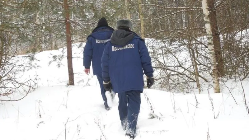 11 заблудившихся людей вывели из леса в Подмосковье с начала года