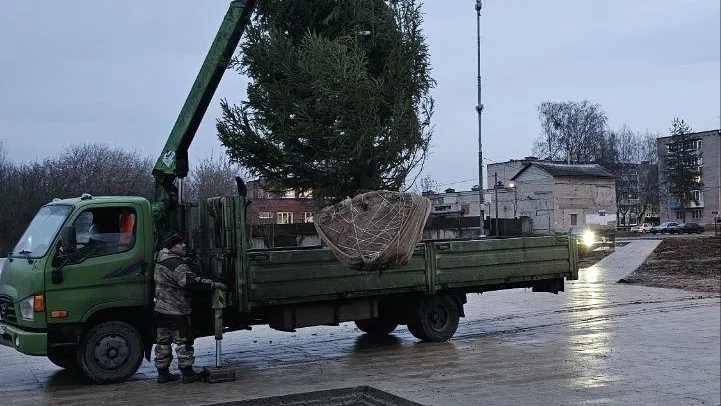В сквере «Семейный» в Клину высадят большую живую ель