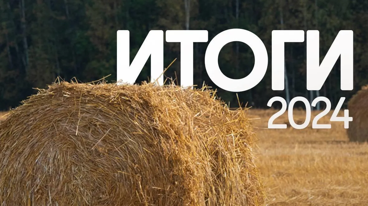 Около 360 тонн картофеля собрали в Подмосковье в ходе уборочной кампании 2024 г