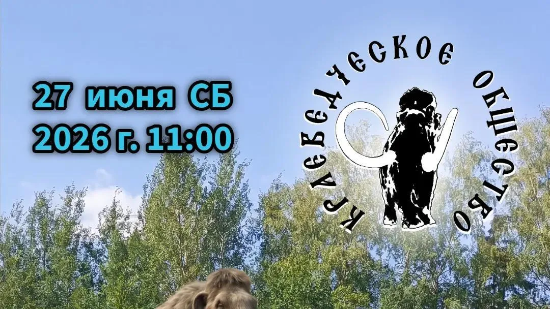 В Одинцовском округе 27 июня проведут поход в долину Вяземки