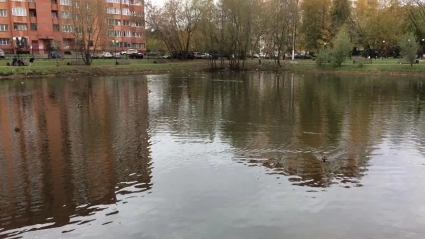 Территорию Ухтомского пруда в Люберцах уберут при подготовке к зиме