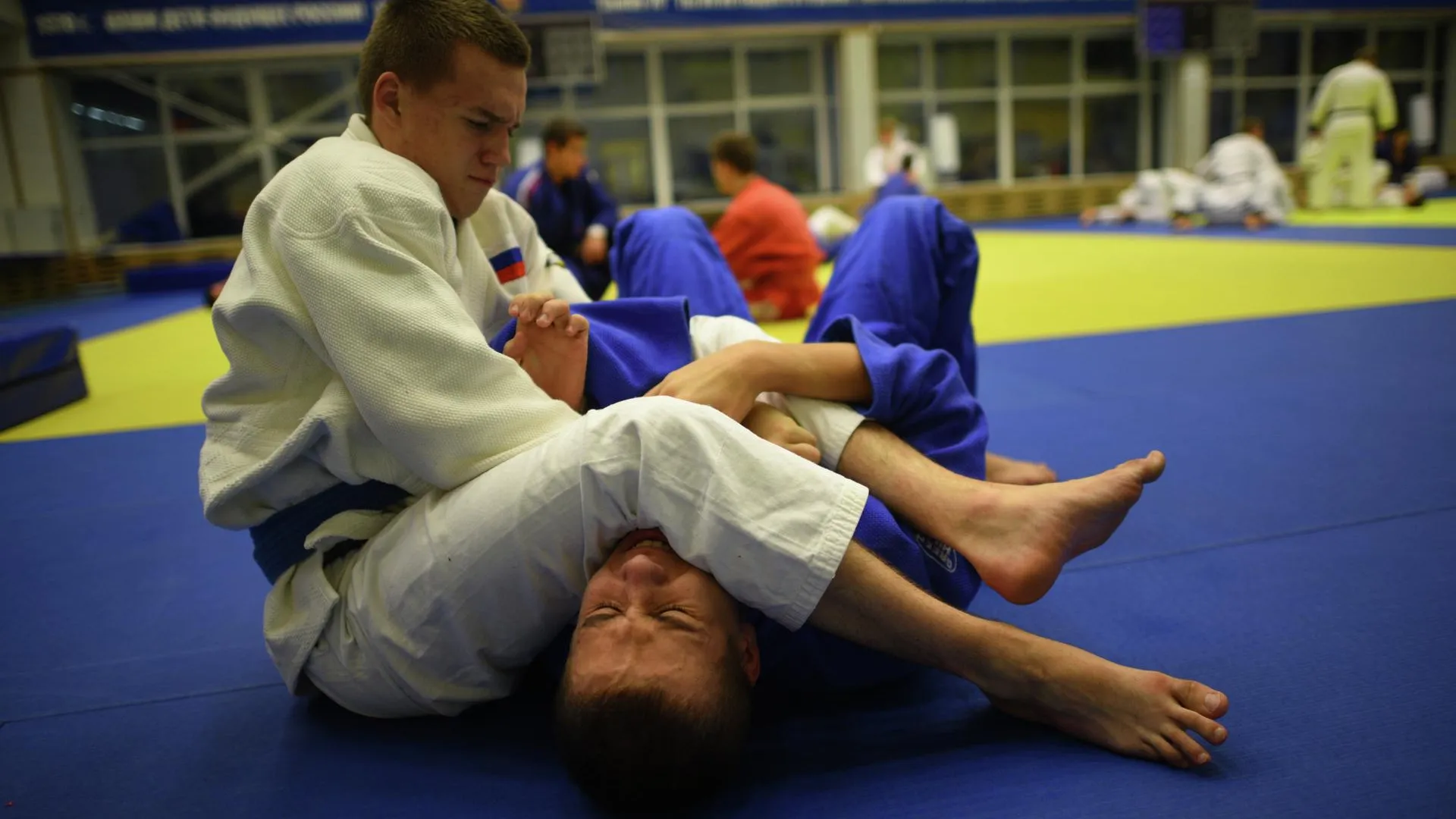 Команда из Люберец заняла третье место на чемпионате Подмосковья по самбо