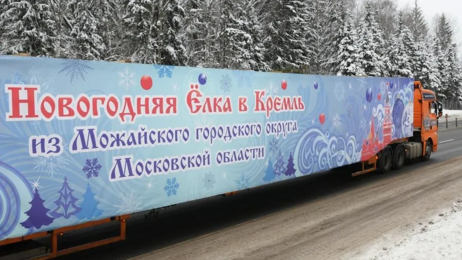 Главная новогодняя елка страны этого года росла в Можайском горокруге