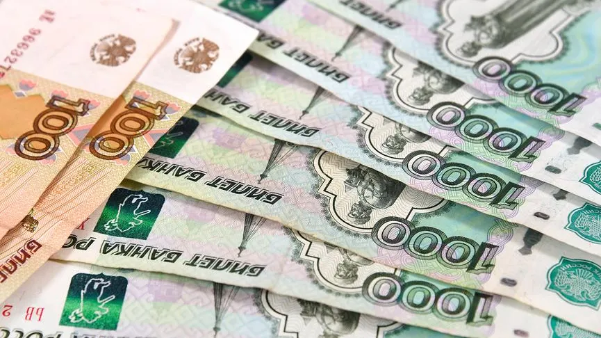 Нижегородцы-миллионеры: 2% жителей города задекларировали очень высокие доходы