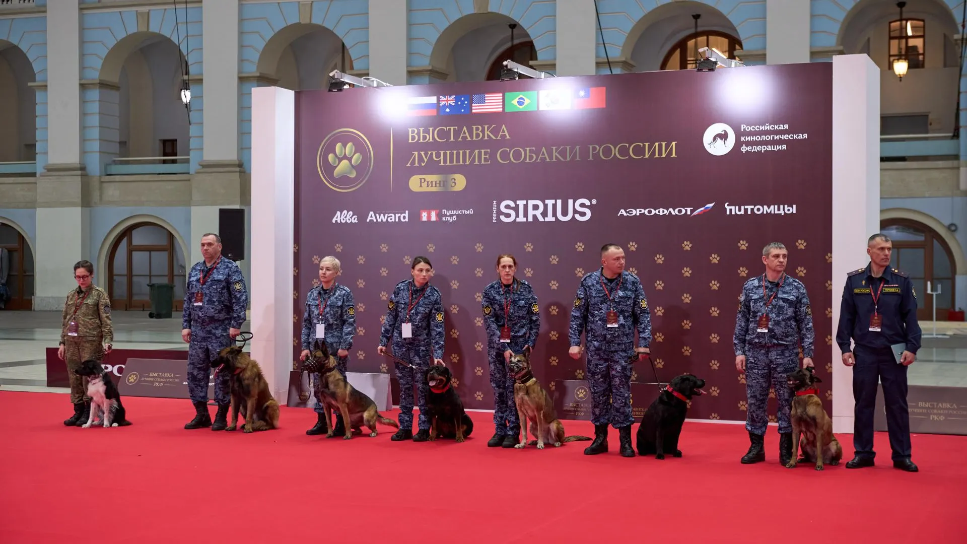 Подмосковье представило опыт ответственного содержания животных на выставке в Москве