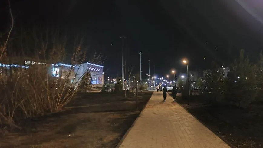 В Рошале городского округа Шатура проверят качество уличного освещения