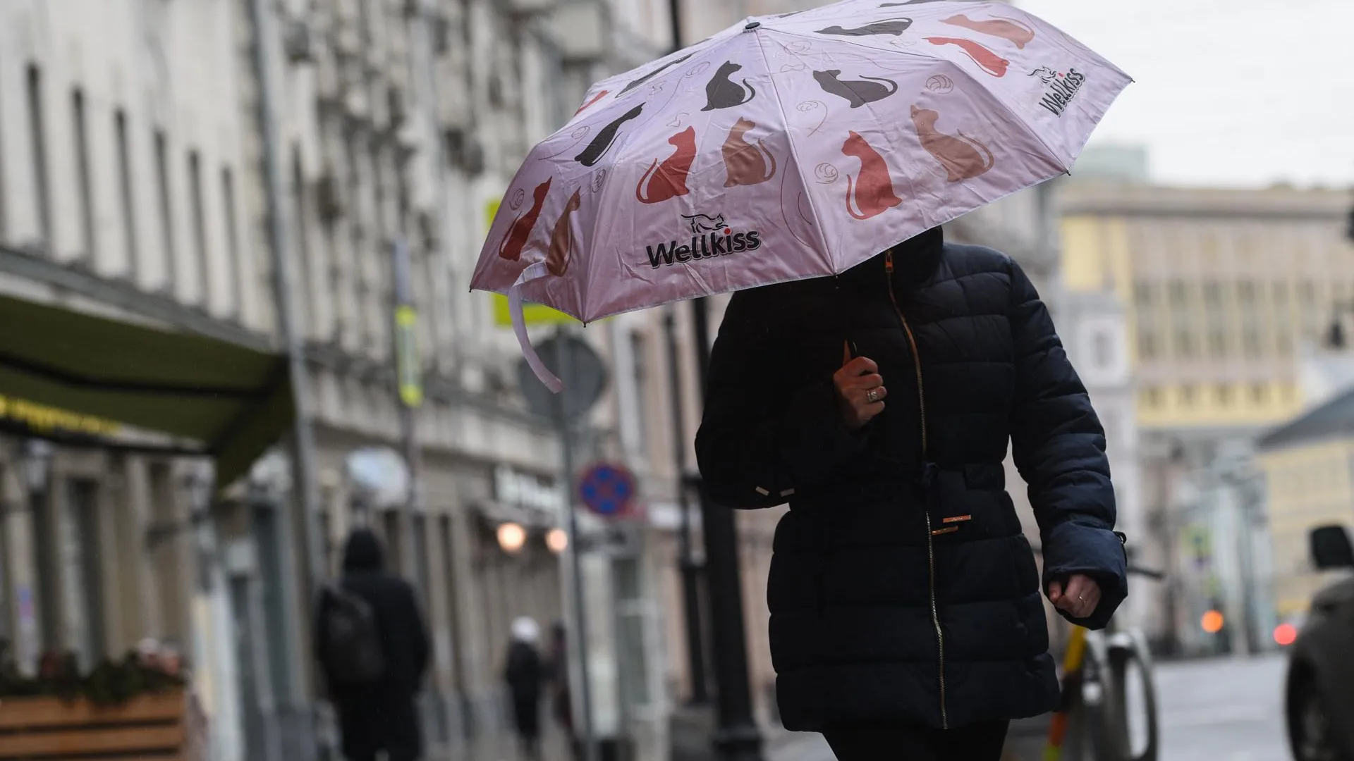 До +13 градусов и дождь прогнозируется в Московском регионе в воскресенье