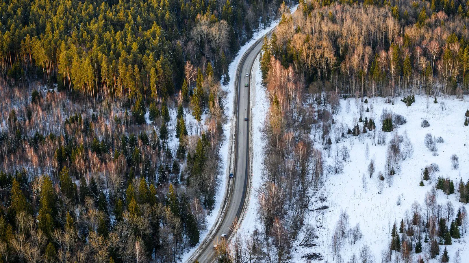 В Подмосковье в 2026 году проведут массовую кадастровую оценку 4,2 млн участков