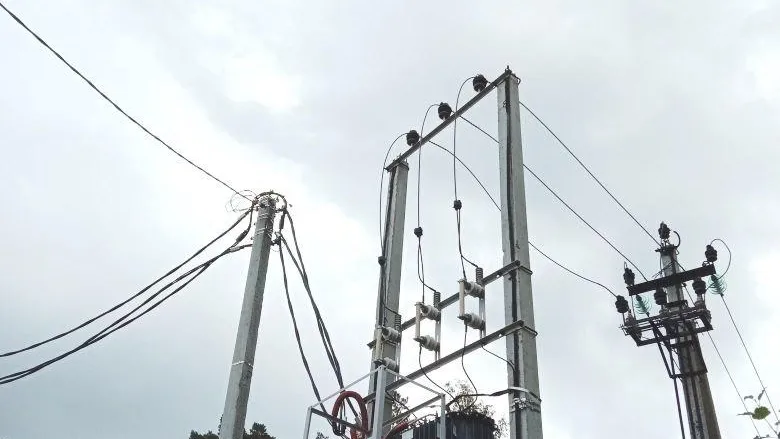 Изношенные электросети отремонтировали в двух СНТ Коломны