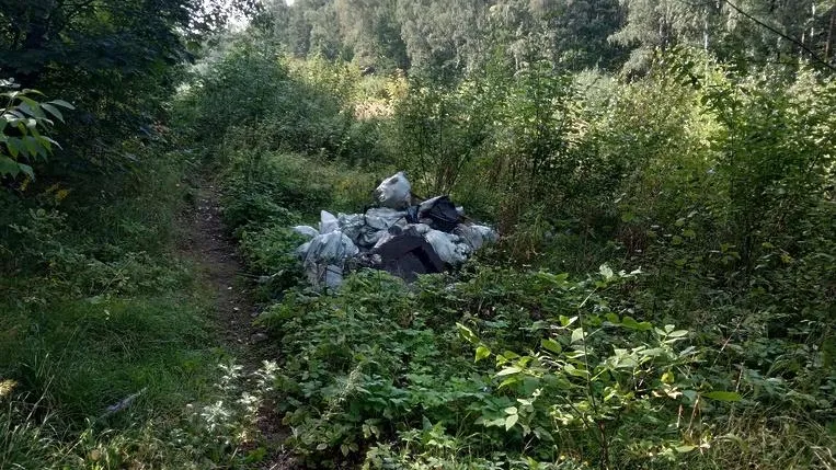 Незаконные свалки выявили в Мытищах и Пушкинском округе