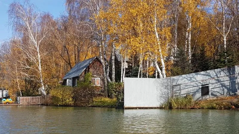 В Богородском округе выявили ограничение доступа к водному объекту и его загрязнение