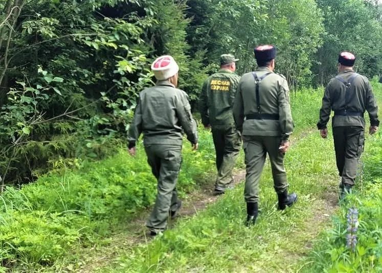 Пресс-служба комитета лесного хозяйства Московской области