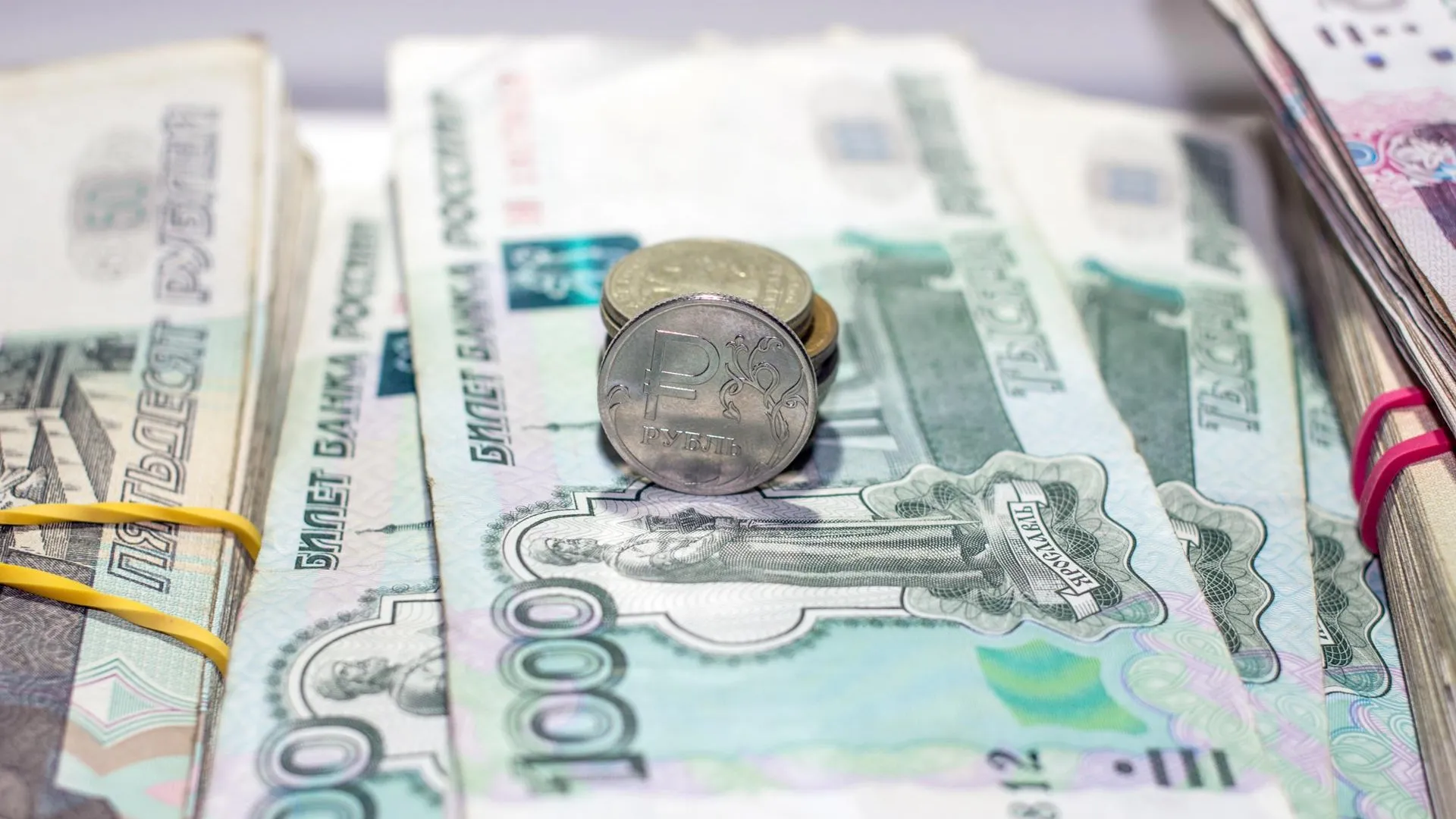Количество нелегальных организаций в Подмосковье снизилось почти в 3 раза