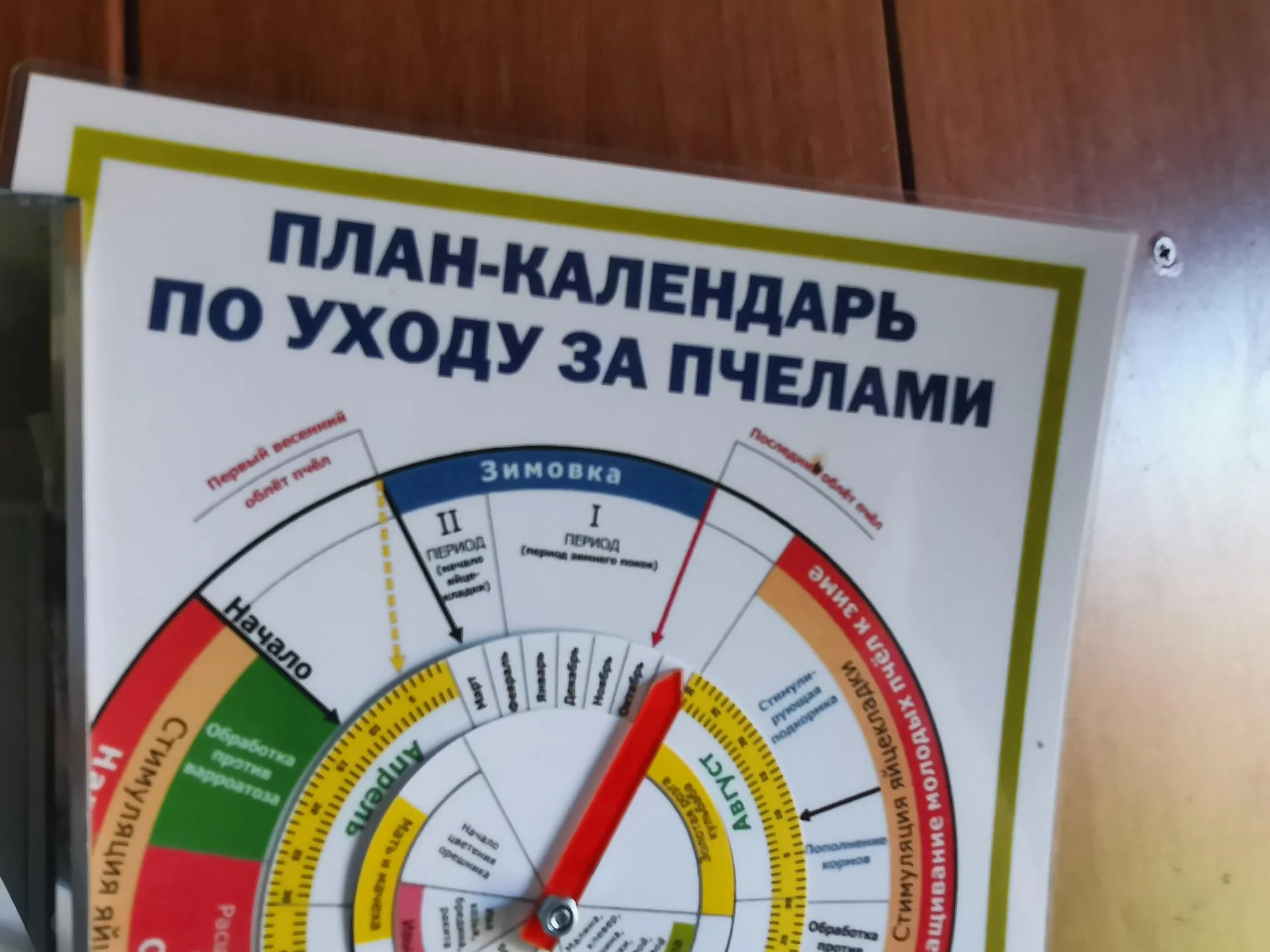 Анастасия Сивякова