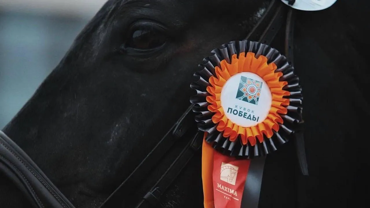 Пресс-службы Maxima Equisport