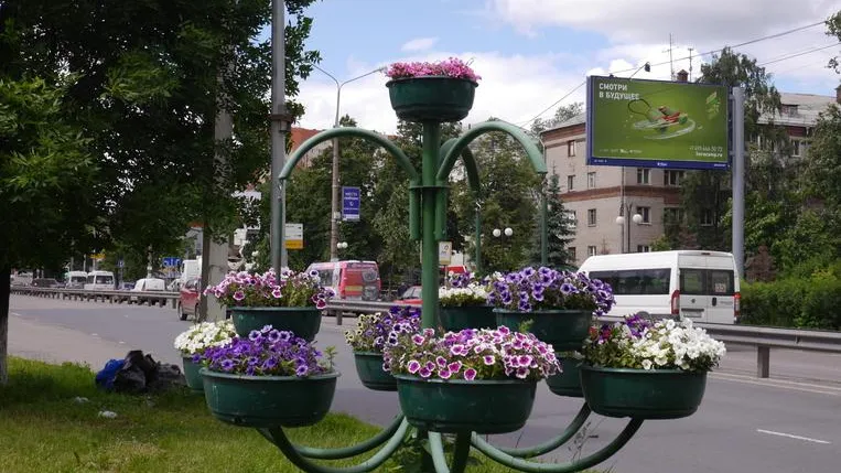 Около 8 тыс кв м цветников появятся на центральных улицах Королева к лету