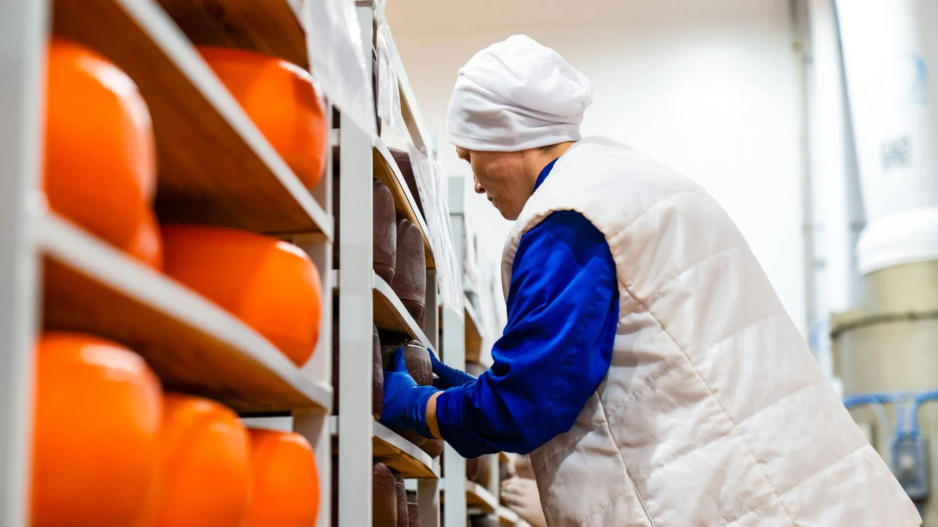 Подмосковье стало лидером России по производству продуктов питания в 2025 году